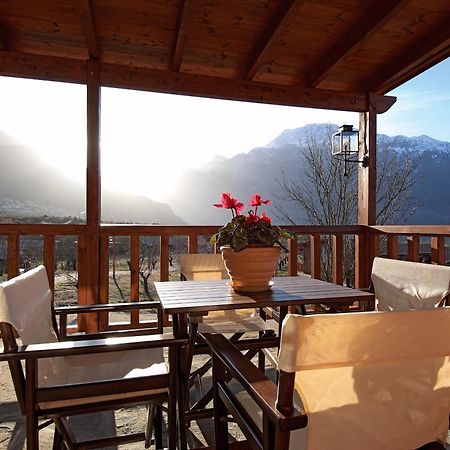 Villa Rustica Konitsa Exterior foto