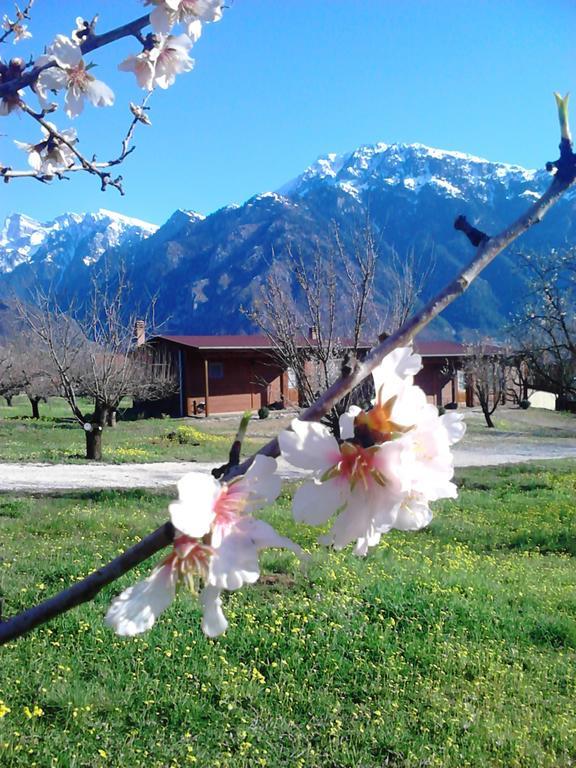 Villa Rustica Konitsa Zimmer foto