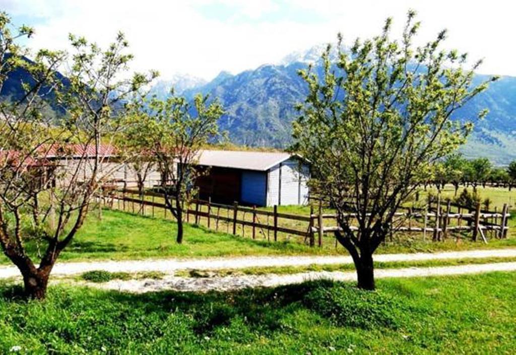 Villa Rustica Konitsa Exterior foto