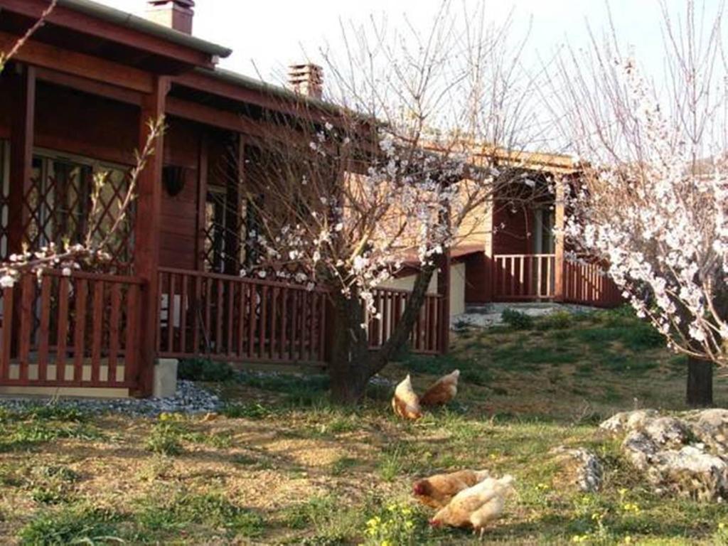 Villa Rustica Konitsa Zimmer foto