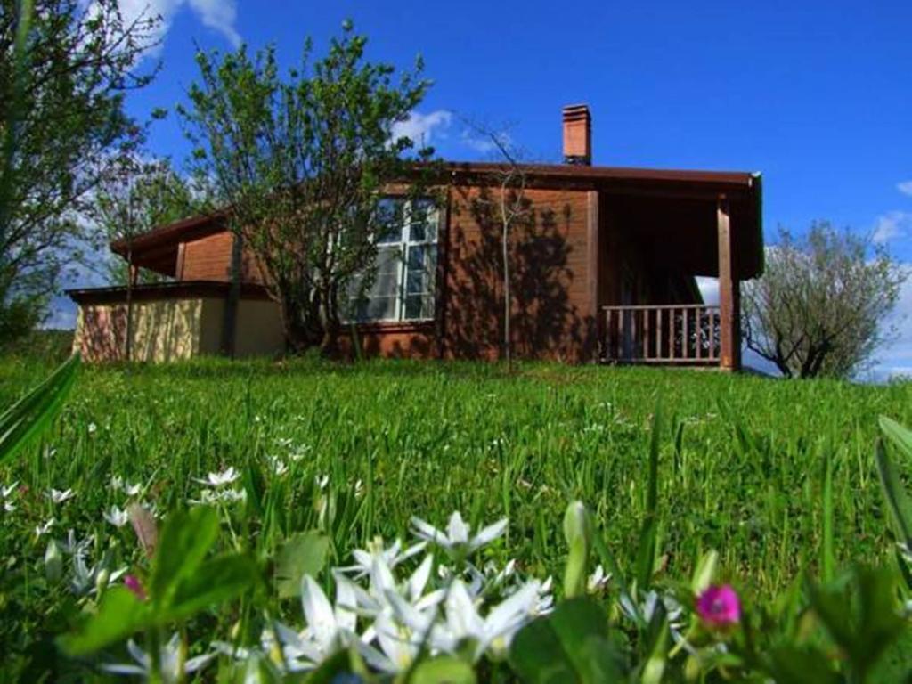 Villa Rustica Konitsa Exterior foto